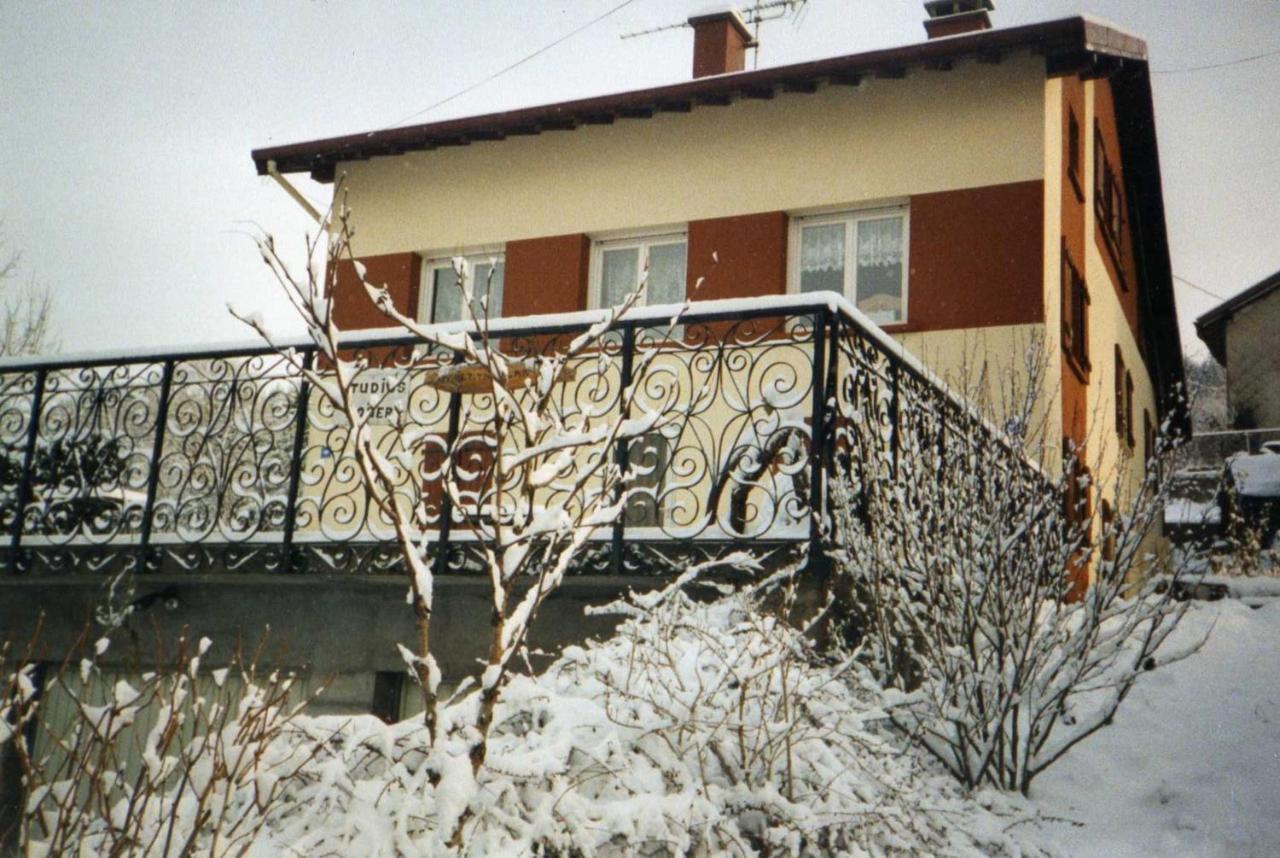 Studio Cosy Avec Vue Sur Lac Et Montagne A Gerardmer 30 M² Екстериор снимка