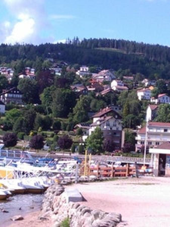 Studio Cosy Avec Vue Sur Lac Et Montagne A Gerardmer 30 M² Екстериор снимка